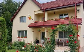 Steaua Nordului